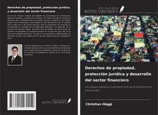 Couverture de Derechos de propiedad, protección jurídica y desarrollo del sector financiero
