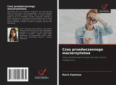 Bookcover of Czas przedwczesnego macierzyństwa
