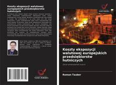Koszty ekspozycji walutowej europejskich przedsiębiorstw hutniczych的封面
