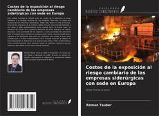 Couverture de Costes de la exposición al riesgo cambiario de las empresas siderúrgicas con sede en Europa