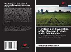 Borítókép a  Monitoring and Evaluation of Development Projects and Public Policies - hoz