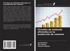 Buchcover von Circuitos de molienda eficientes en la producción de cemento