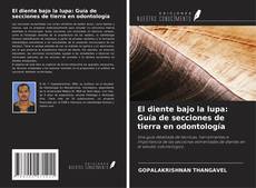 Copertina di El diente bajo la lupa: Guía de secciones de tierra en odontología
