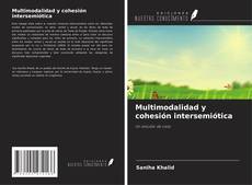 Borítókép a  Multimodalidad y cohesión intersemiótica - hoz