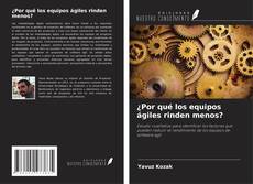 Buchcover von ¿Por qué los equipos ágiles rinden menos?