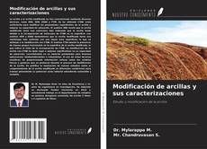 Copertina di Modificación de arcillas y sus caracterizaciones