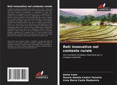 Reti innovative nel contesto rurale kitap kapağı