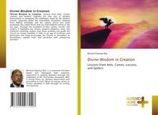 Couverture de Divine Wisdom in Creation