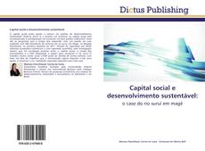 Capital social e desenvolvimento sustentável: kitap kapağı