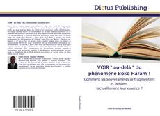 Buchcover von VOIR " au-delà " du phénomène Boko Haram !