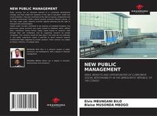 NEW PUBLIC MANAGEMENT kitap kapağı