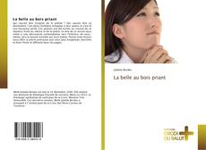 Capa do livro de La belle au bois priant 
