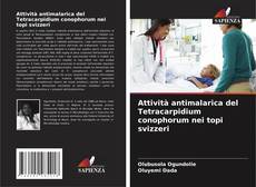 Copertina di Attività antimalarica del Tetracarpidium conophorum nei topi svizzeri