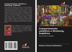 Borítókép a  Comportamento collettivo a Khutsong, Sudafrica - hoz