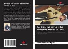 Buchcover von Provincial civil service in the Democratic Republic of Congo