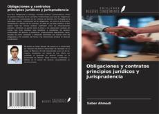 Copertina di Obligaciones y contratos principios jurídicos y jurisprudencia