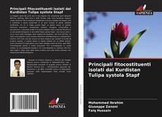 Обложка Principali fitocostituenti isolati dal Kurdistan Tulipa systola Stapf