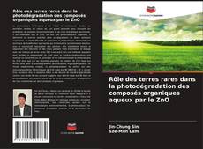 Copertina di Rôle des terres rares dans la photodégradation des composés organiques aqueux par le ZnO