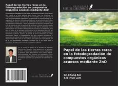 Couverture de Papel de las tierras raras en la fotodegradación de compuestos orgánicos acuosos mediante ZnO