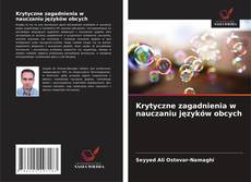 Krytyczne zagadnienia w nauczaniu języków obcych kitap kapağı