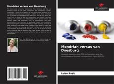Mondrian versus van Doesburg kitap kapağı