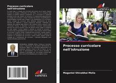 Buchcover von Processo curricolare nell'istruzione