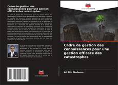 Обложка Cadre de gestion des connaissances pour une gestion efficace des catastrophes