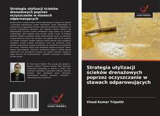 Borítókép a  Strategia utylizacji ścieków drenażowych poprzez oczyszczanie w stawach odparowujących - hoz