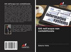 Portada del libro de GIS nell'acqua non contabilizzata