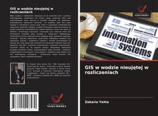 Copertina di GIS w wodzie nieujętej w rozliczeniach