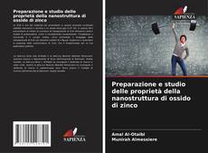 Обложка Preparazione e studio delle proprietà della nanostruttura di ossido di zinco