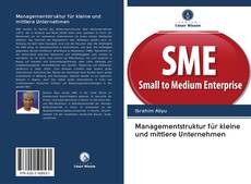 Buchcover von Managementstruktur für kleine und mittlere Unternehmen