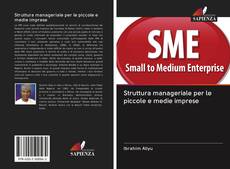 Buchcover von Struttura manageriale per le piccole e medie imprese