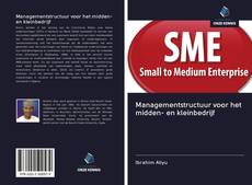 Managementstructuur voor het midden- en kleinbedrijf kitap kapağı