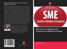 Capa do livro de Estrutura de Gestão para Pequenas e Médias Empresas 