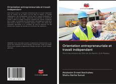 Buchcover von Orientation entrepreneuriale et travail indépendant