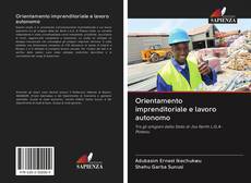 Buchcover von Orientamento imprenditoriale e lavoro autonomo