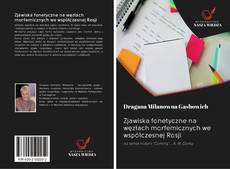 Capa do livro de Zjawiska fonetyczne na węzłach morfemicznych we współczesnej Rosji 