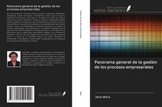 Bookcover of Panorama general de la gestión de los procesos empresariales
