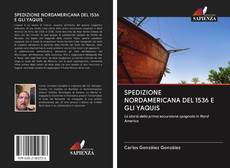 Buchcover von SPEDIZIONE NORDAMERICANA DEL 1536 E GLI YAQUIS