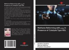Capa do livro de Methane Reforming with CO2 in Presence of Catalysts Type HDL 