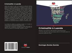 Capa do livro de Criminalité à Luanda 