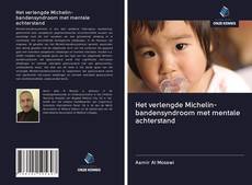 Capa do livro de Het verlengde Michelin-bandensyndroom met mentale achterstand 