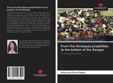 Buchcover von From the Himalayas possibilities to the bottom of the Ganges