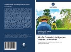 Bookcover of Große Daten in intelligenten Städten: erforschen