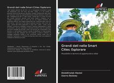 Bookcover of Grandi dati nelle Smart Cities: Esplorare