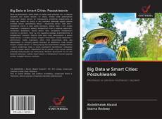 Buchcover von Big Data w Smart Cities: Poszukiwanie