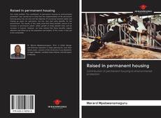 Bookcover of Raised in permanent housing