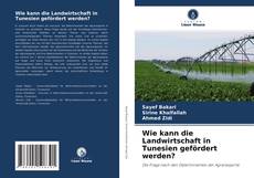 Bookcover of Wie kann die Landwirtschaft in Tunesien gefördert werden?