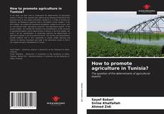 Bookcover of How to promote agriculture in Tunisia?